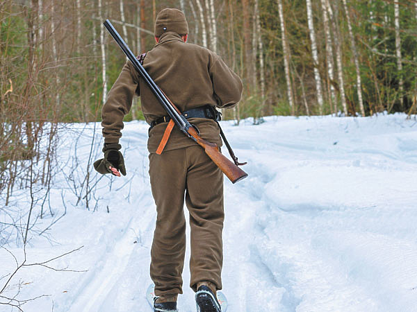 Изображение Фото Pixabay