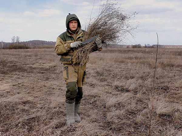 Изображение Материал для маскировки заготавливаю на расстоянии от скрадка. Фото автора. 