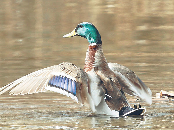Изображение Фото: Антона Журавкова 