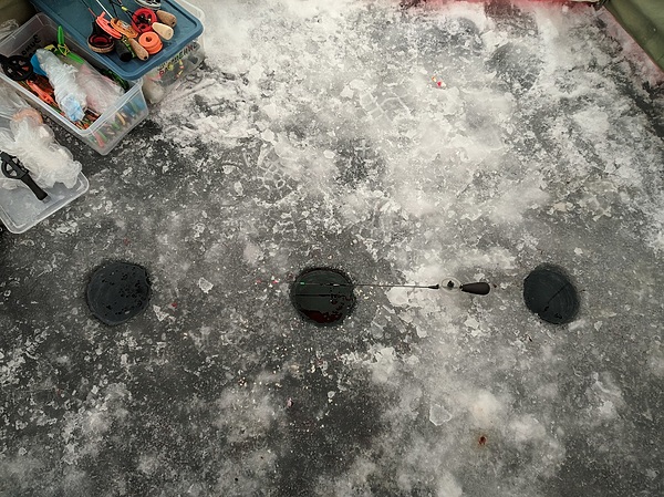 Изображение На распутье.Фото: Трембицкого Алексея.