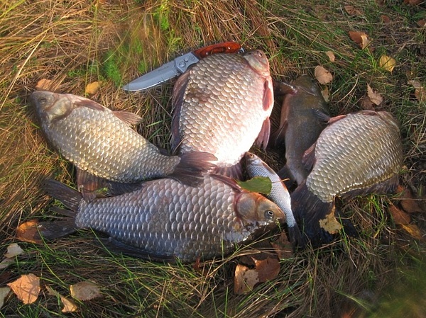 Изображение Фото: Токарева Александра. 