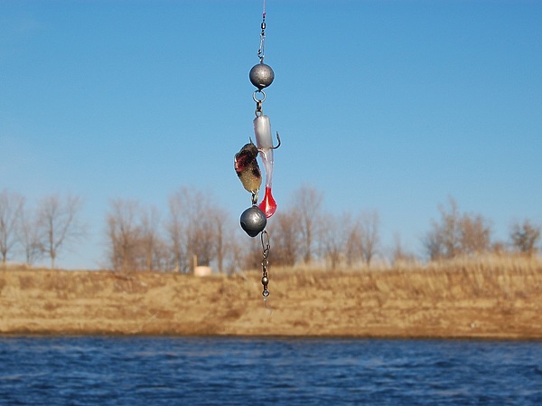 Изображение Фото: Яншевского Андрея.