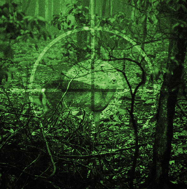 Изображение ФОТО SHUTTERSTOCK.COM