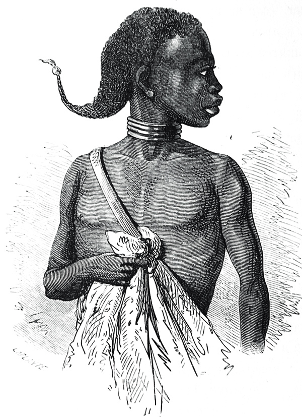 Изображение Иллюстрация из книги