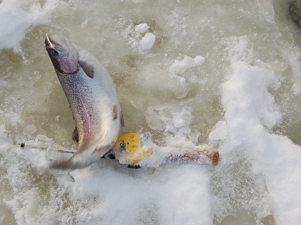 Изображение Фото: Яншевского Андрея.