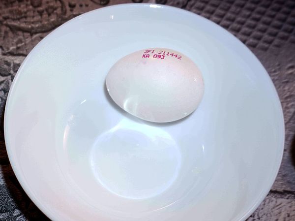 Изображение Для некрупной щуки хватит одно яйцо. Фото: Евгений Кузнецов. 