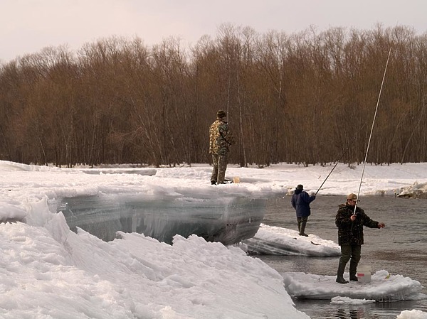 Изображение фото: Fotolia.com 