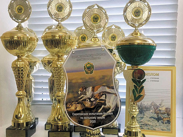 Изображение Фото автора.