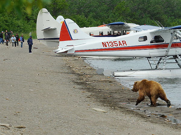 Изображение В Брукс только самолетом можно долететь. Это не проблема: на Аляске более 12 тысяч бортов частной малой авиации. Фото автора.