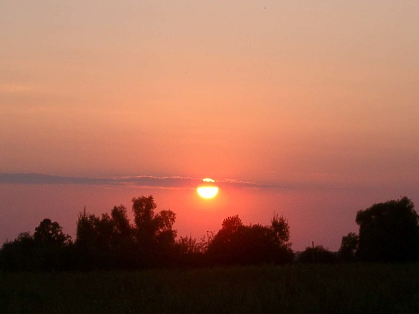 Изображение фото: Мухамедшина Рафаэля 