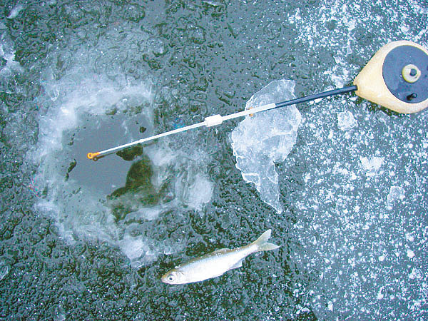 Изображение Фото: Маилкова Анатолия. 