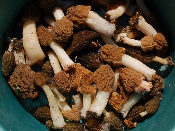 Изображение Фото: Яншевского Андрея.