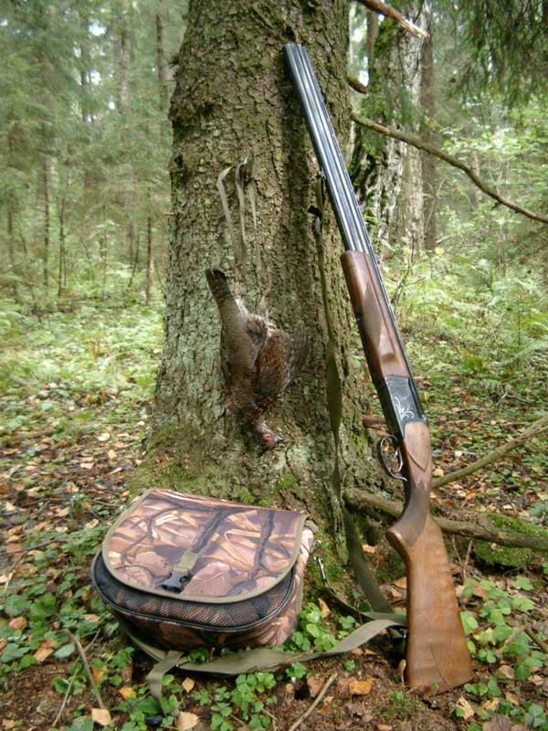 Изображение фото: С.М.В.