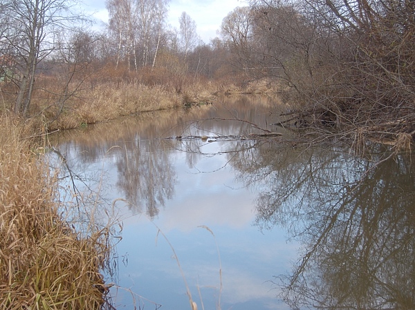 Изображение Фото: Яншевского Андрея. 
