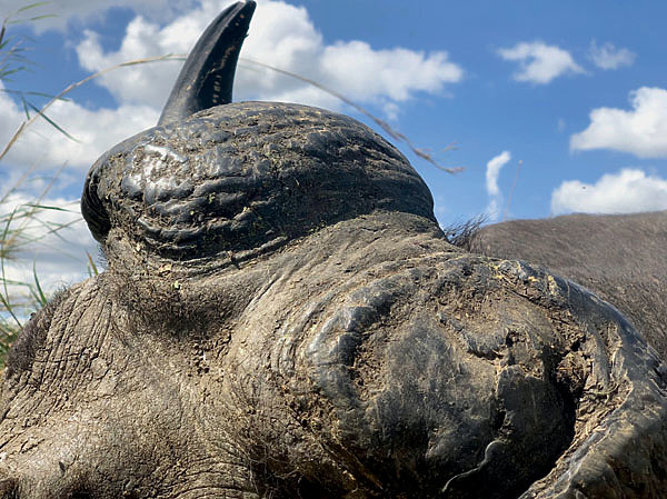 Изображение Фото автора.