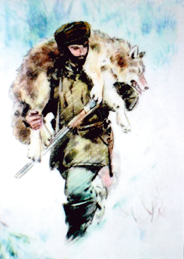 Изображение Собака и охотник в таежной глухомани в чернотроп подвергаются опасности со стороны крупных хищников — медведя-шатуна, росомахи, рыси, поэтому путики насекали по берегам рек, где и ставили зимовья. ИЛЛЮСТРАЦИЯ ВИТАЛИЯ ВОЛКОВА 