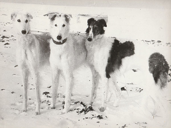 Изображение фото: Валентина Бодункова