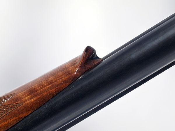 Изображение ФОТО: АЛЕКСАНДР ГУСЕВ 