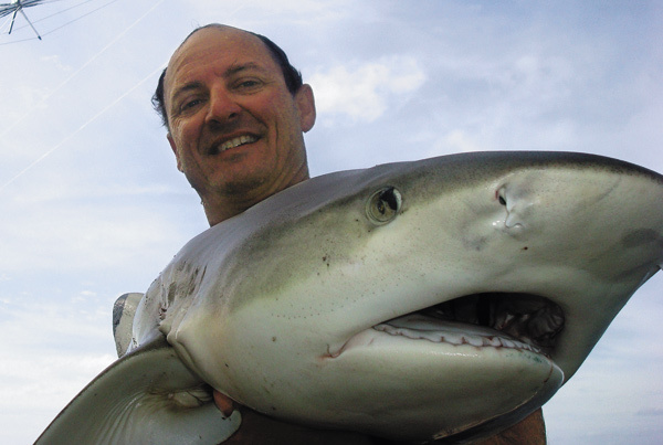 Изображение СТРАШНЫЙ ХИЩНИК.
Укус акулы страшен. При нападениях в ход идут зубы нижней челюсти, которые крепко вонзаются в тело жертвы, зубы же верхней кромсают его, как машина смерти, нанося ужасные раны.Пасть у акул находится снизу, поэтому, нападая, они часто переворачиваются на спину. У этих удивительных созданий плохая маневренность. Акула обладает высокими скоростными качествами, но не может резко менять направление движения. Устройство ее тела таково, что она не в состоянии сильно его изогнуть. Вследствие этого нападение нередко начинается так: сначала акула на большой скорости таранит жертву и только потом хватает ее. Кожа акулы — страшный скребок с крупными острыми зубьями. Даже если удар приходится вскользь, это приводит к серьезным травмам. Бронированная акулья шкура покрыта костяными клинками, которые по строению идентичны зубам, находящимся в пасти хищницы.