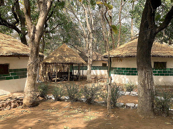 Изображение Типичные дома бенинцев: стены из веток обмазаны глиной, крыши покрыты травой или
соломой. Фото автора.