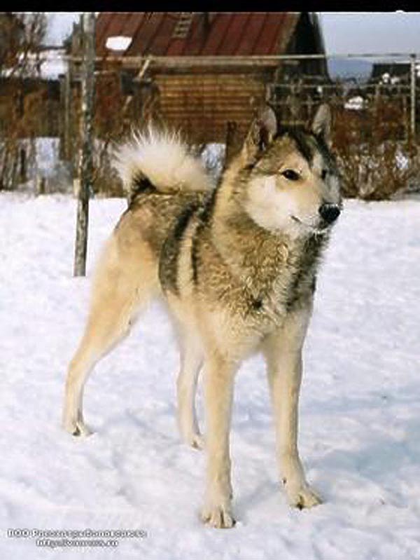 Изображение фотографии предоставлены автором