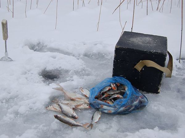 Изображение Фото: Андрей Яншевский.