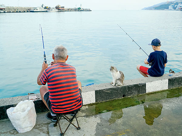 Изображение ФОТО SHUTTERSTOCK 