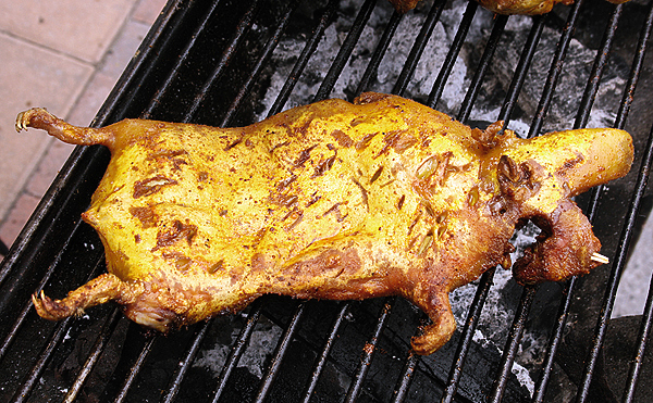 Изображение СЕВЕРНЫЙ ДЕЛИКАТЕС. 
В годы урожая кедра звери и птицы тайги в больших количествах поедают кедровые орешки, а кое-кто их запасает и на зиму (бурундук, белка, кедровка). Эти орешки обладают большой питательной ценностью. В ядре содержится до 20 % белков, до 60–70 % жира, 12 % крахмала, 2 % пентозанов, 4 % клетчатки, 2 % золы, богатой жизненно необходимыми микро- и макроэлементами. В орехах высокое содержание витаминов группы В и D. В урожайные годы желудки добытых белок, как правило, набиты кедровыми орешками. После того как охотник снимет шкурку со зверька, он приступает к потрошению и обязательно откладывает желудок, не трогая его содержимого. Закончив разделку, он обжаривает его целиком.