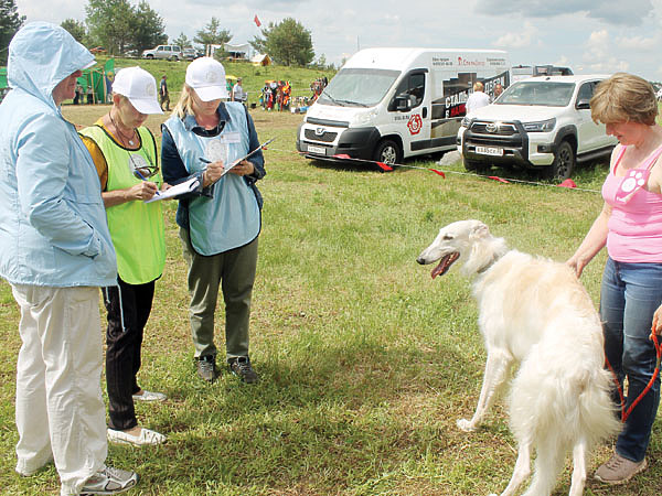 Изображение Фото Сергея ФОКИНА 