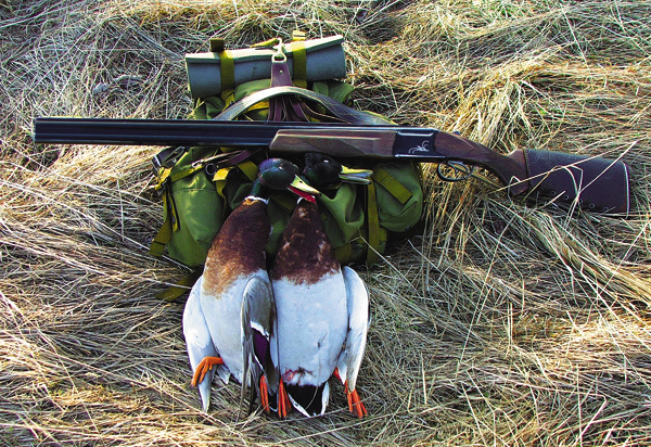 Изображение Фото Александра Ештокина 