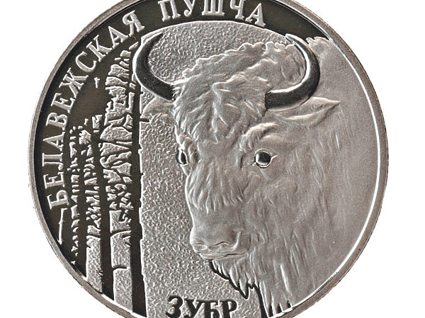 Изображение Фото автора.