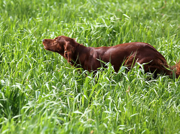 Изображение Фото: Сергей Зозуля 