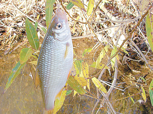 Изображение Фото: Анатолий Маилков.