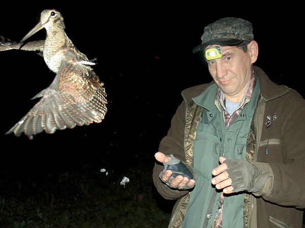 Изображение Фото Сергея Фокина. 
