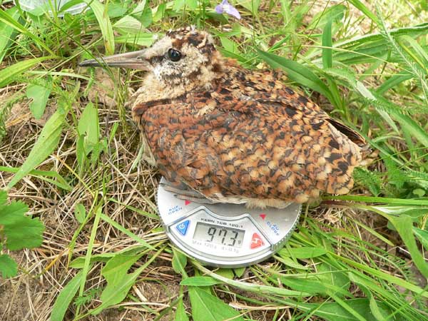 Изображение фото Петра Зверева