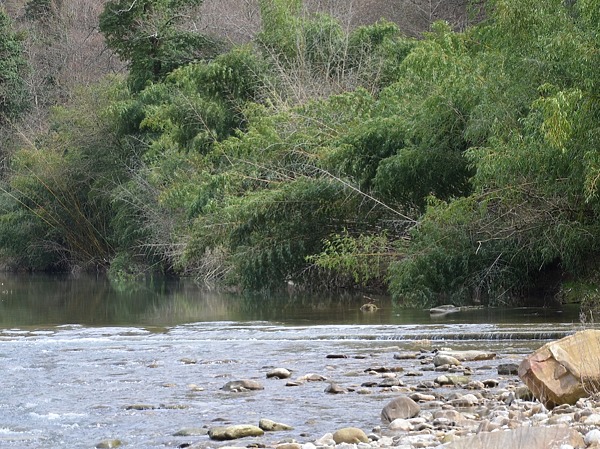 Изображение Каждый пейзаж горной реки по-своему неповторим. Фото: Шеляга Геннадия.