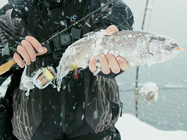 Изображение Небольшой трофей, добытыйна «силикон». Фото: Николай Лебедев.