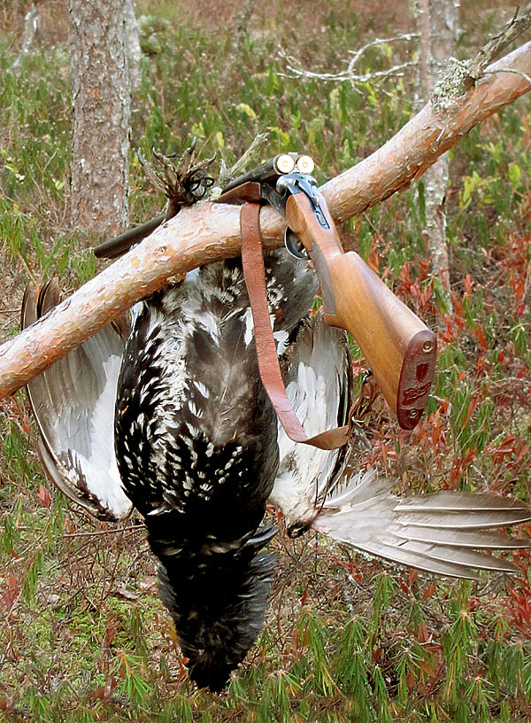 Изображение ФОТО ДМИТРИЯ ВАСИЛЬЕВА 