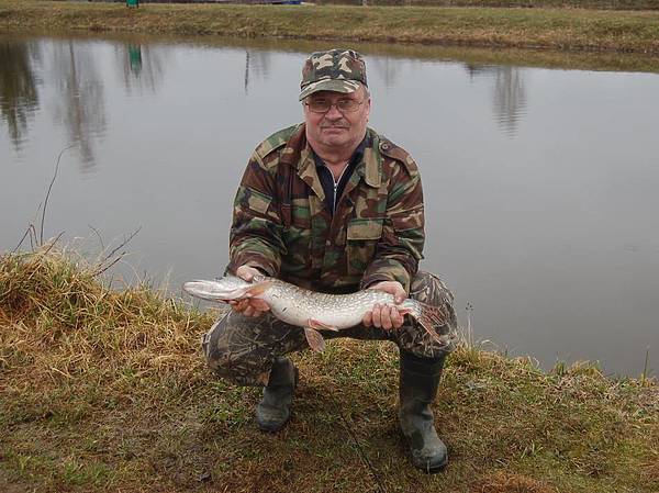 Изображение Фото: Яншевского Андрея.