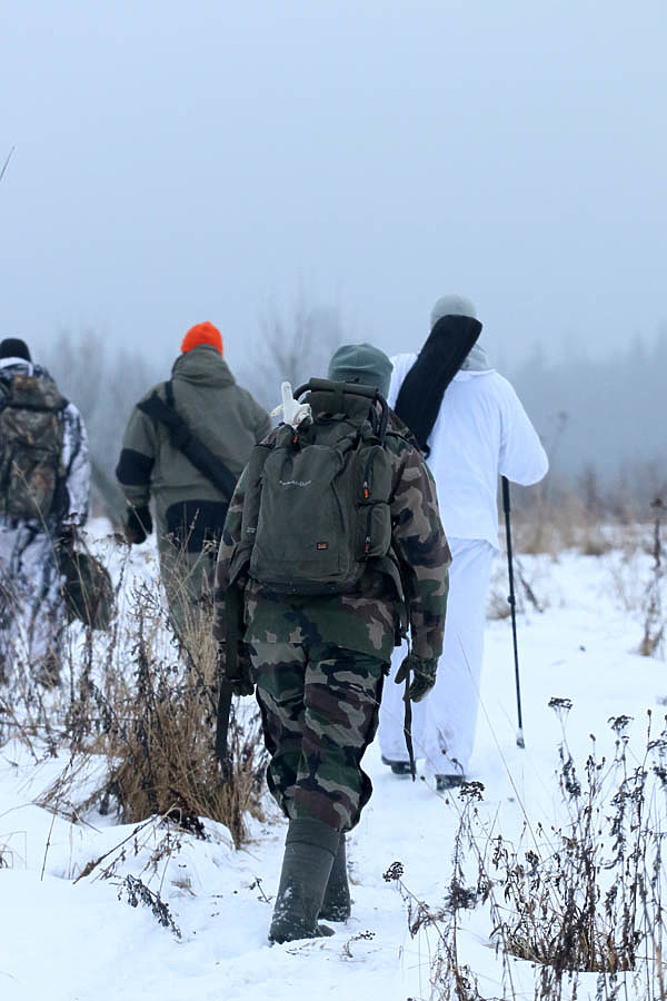 Изображение фото: Антона Журавкова