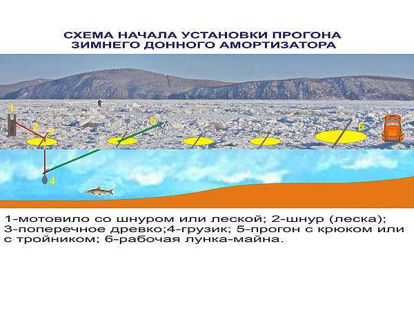 Изображение Фото: Смирнова Александра. 