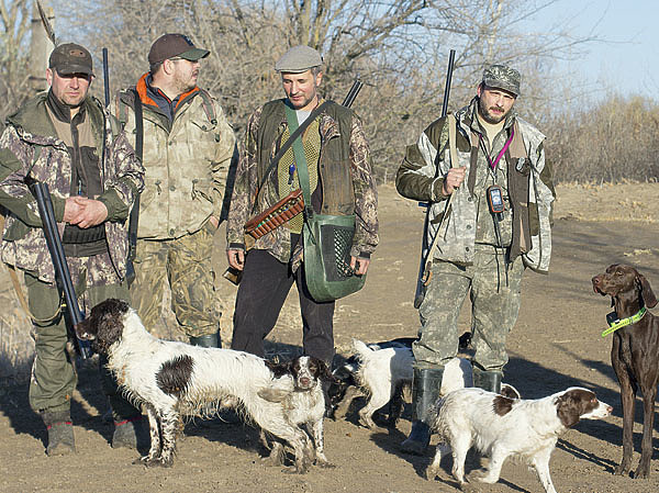 Изображение День открытия охоты с нетерпением ждали и мы, и наши четвероногие компаньоны. Фото автора. 
