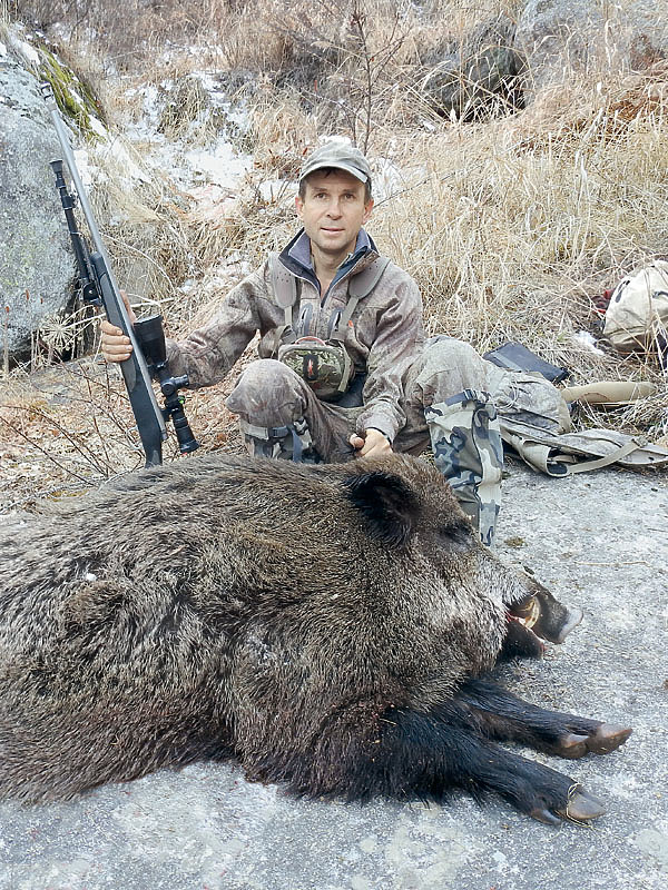 Изображение 240 кг — максимальный вес самца кабана, добытого в настоящее время в горной части Казахстана.ФОТО ДМИТРИЯ САВЧЕНКО 