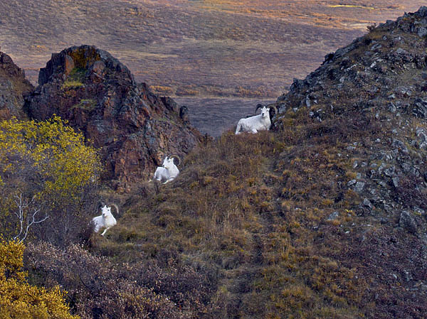 Изображение ФОТО ISTOCKPHOTO 