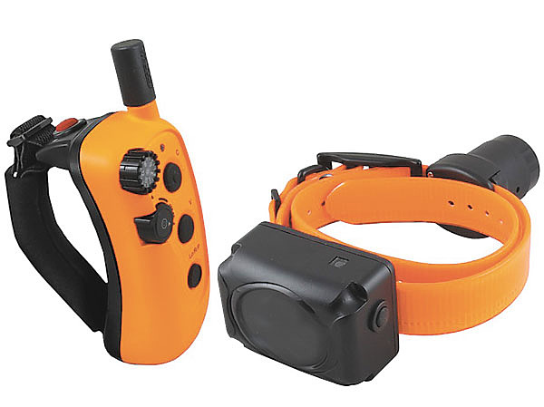 Изображение фото: Антона Журавкова