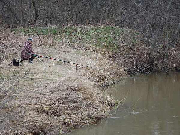 Изображение Фото: Яншевского Андрея.