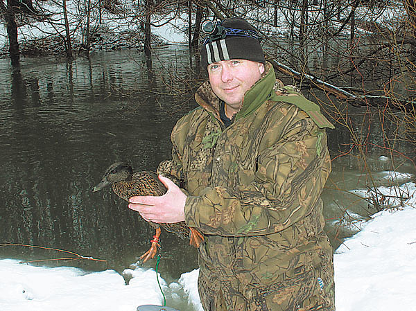 Изображение Фото автора.