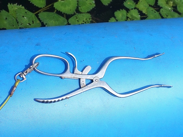 Изображение Без специального экстрактора невозможно разжать его челюсти. Фото: Кузнецова Евгения.