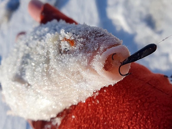 Изображение Фото: Коломийца Алексея. 