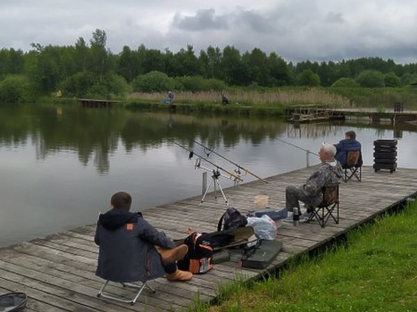 Изображение Фото: ВНИИПРХ.